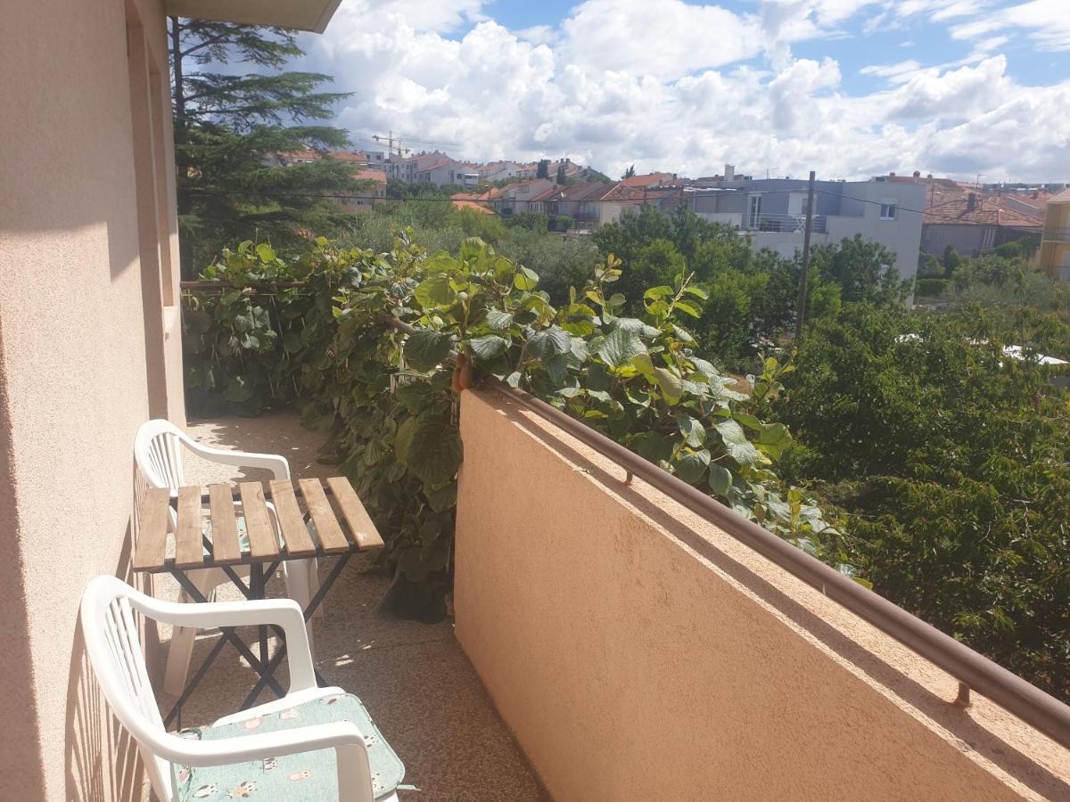 Apartment Ivanov Zadar Dış mekan fotoğraf